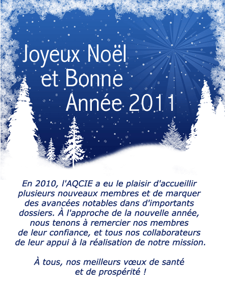 Voeux de Noël 2010